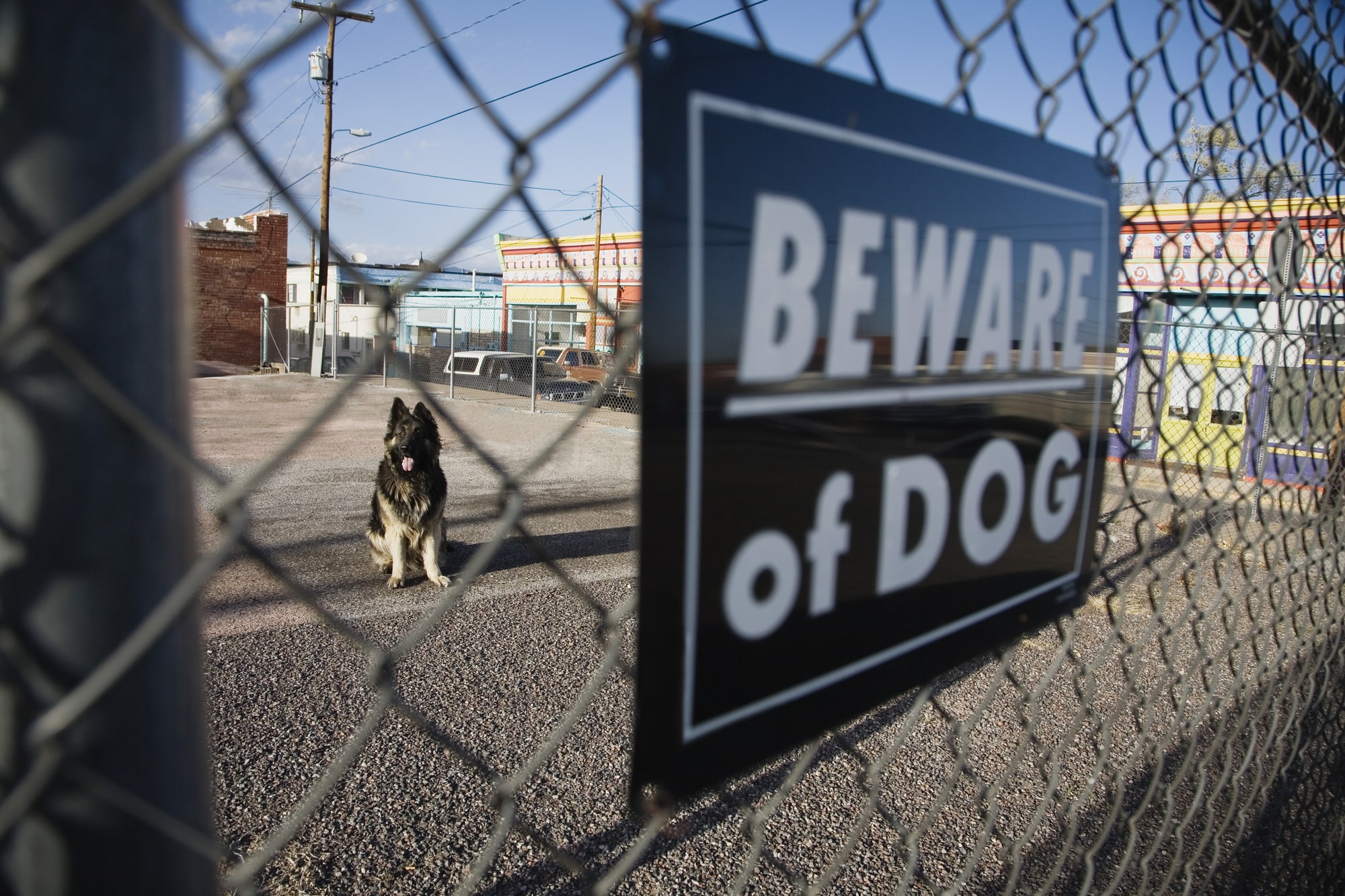 dog bite lawyer West Valley City, UT